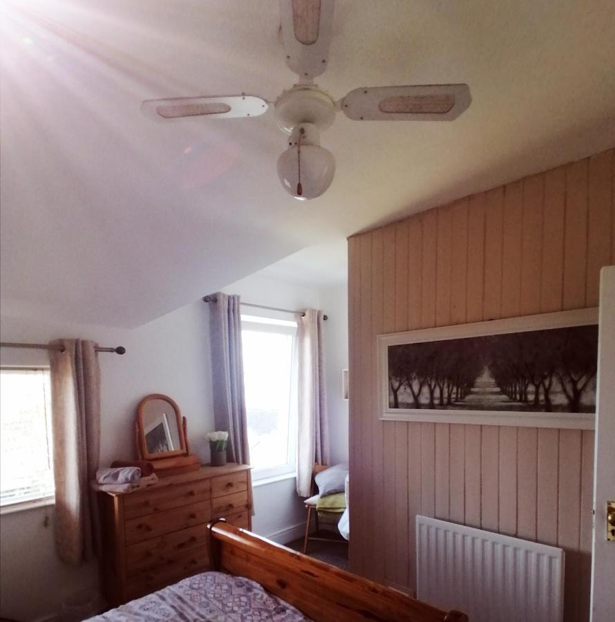 Castle Hill Cottage & Paddlers Retreat Ballywalter エクステリア 写真