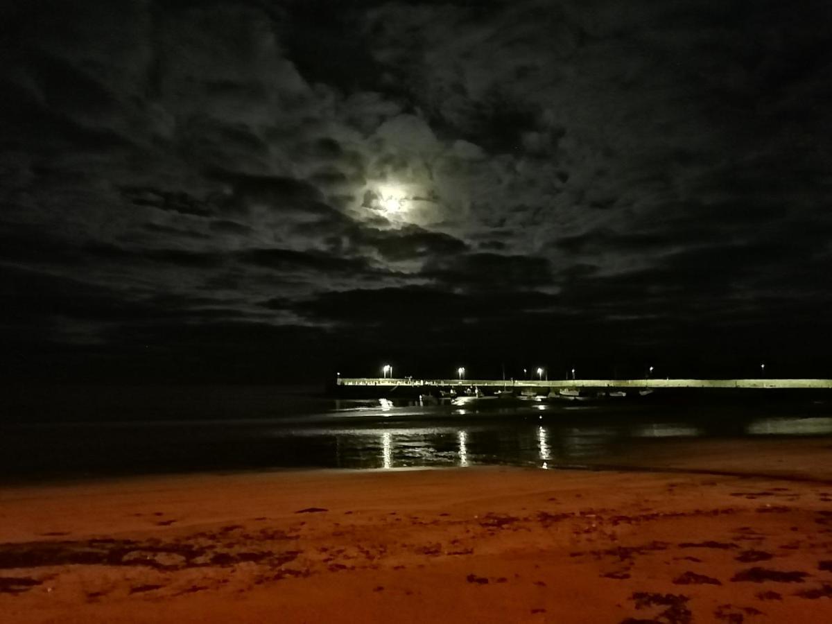 Castle Hill Cottage & Paddlers Retreat Ballywalter エクステリア 写真